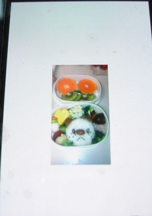 ミジュマル・ポカブのお弁当-レシピのメイン写真