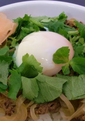 まんぷく~パクパク牛丼-レシピのメイン写真
