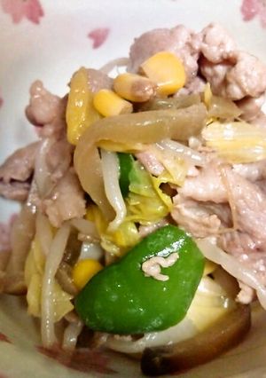 ザーサイ肉野菜炒め-レシピのメイン写真