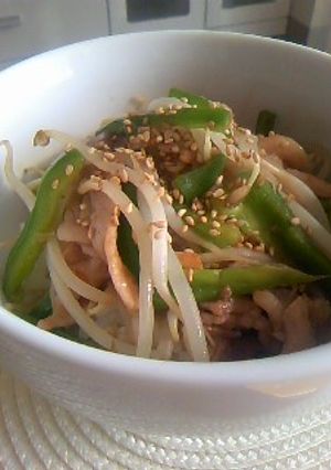 簡単！チンジャオロース☆青椒肉絲☆丼にも-レシピのメイン写真
