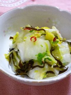 白菜の即席漬け-レシピのメイン写真