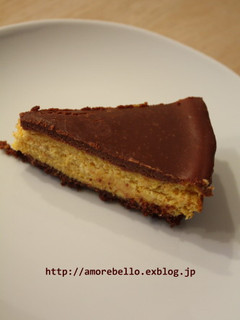 チョコレートとかぼちゃのチーズケーキ-レシピのメイン写真