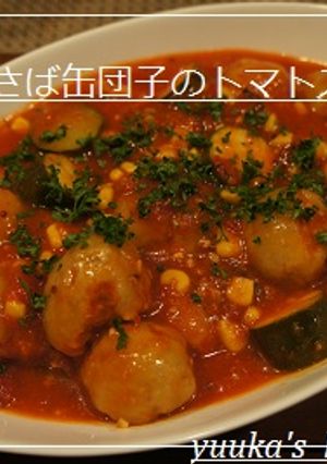 さば缶とおから団子のトマト煮-レシピのメイン写真