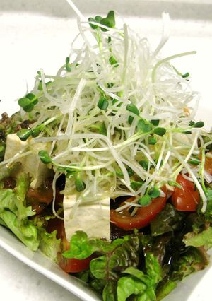 豆腐サラダ-レシピのメイン写真