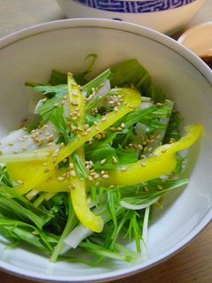 大根と水菜のサラダ-レシピのメイン写真
