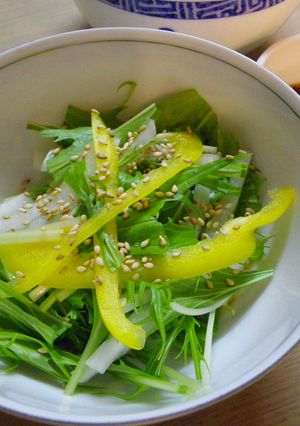 大根と水菜のサラダ-レシピのメイン写真