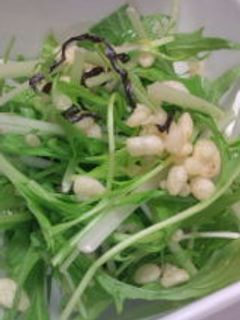 水菜サラダ-レシピのメイン写真