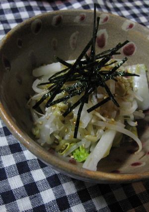 とっても簡単！もやしと白菜のナムル♪-レシピのメイン写真