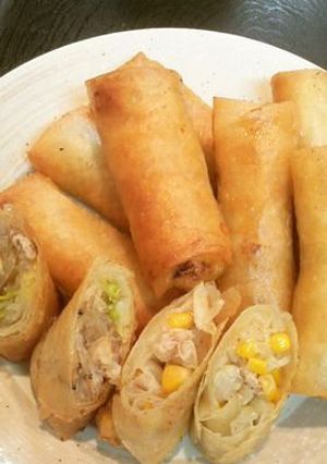 残り物で春巻き-レシピのメイン写真