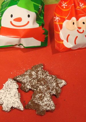 米粉のマクロビ風ココアココナッツクッキー-レシピのメイン写真
