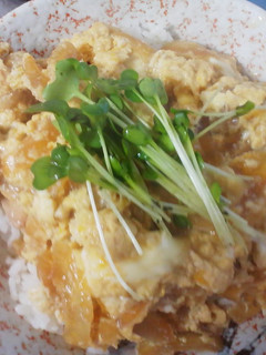 フワフワ親子丼-レシピのメイン写真