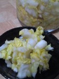 作置き白菜の漬物-レシピのメイン写真