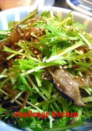 水菜とキンピラごぼうdeさっぱりサラダ☆-レシピのメイン写真