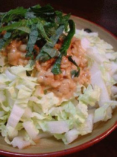ひきわり納豆と白菜のサラダ-レシピのメイン写真