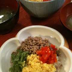 栄養満点❤４色そぼろ丼-レシピのメイン写真
