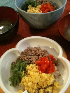 栄養満点❤4色そぼろ丼-レシピのメイン写真