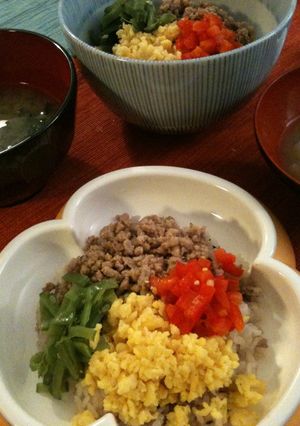 栄養満点❤4色そぼろ丼-レシピのメイン写真