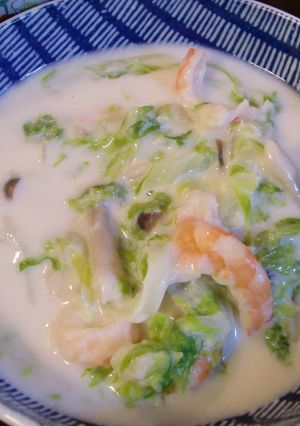 白菜のクリーム煮-レシピのメイン写真