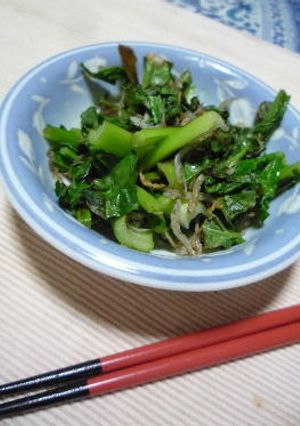 ジャコと野沢菜の炒め物-レシピのメイン写真