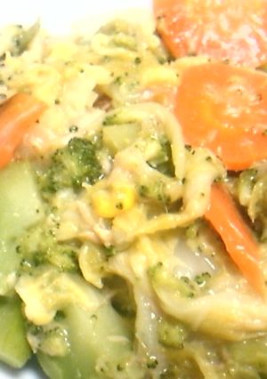 簡単♪白菜+緑黄色野菜を摂りたくて…煮!-レシピのメイン写真