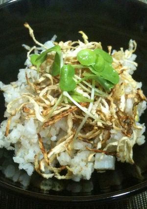 花粉症対策レンコン★しゃきしゃき★焼き飯-レシピのメイン写真