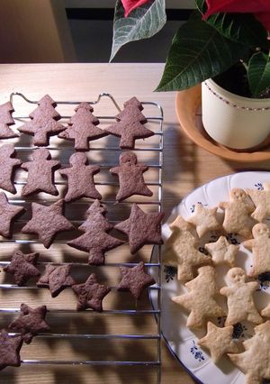 クリスマス☆ほろにがジンジャークッキー-レシピのメイン写真