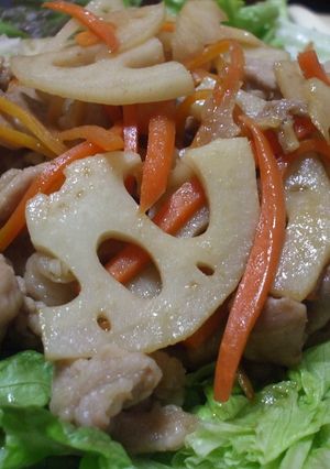 根菜と豚肉のサラダ♪-レシピのメイン写真