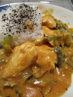 カレー☆鶏肉、はちみつ&ヨーグルト-レシピのメイン写真