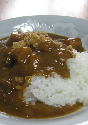 アツアツのカレーライスに♪ショウガのっけ-レシピのメイン写真