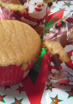 クリスマスにドライフルーツ☆シフォン-レシピのメイン写真