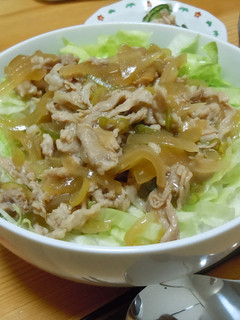 Wネギの豚丼-レシピのメイン写真