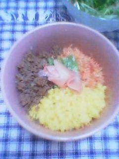 三色丼-レシピのメイン写真