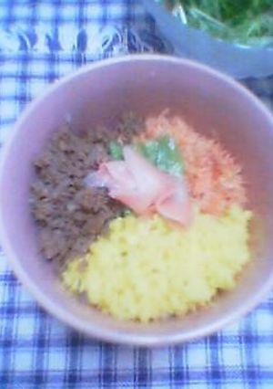 三色丼-レシピのメイン写真