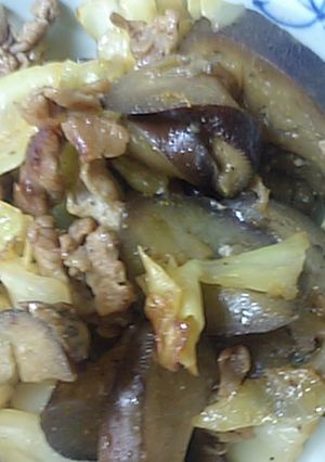 キャベツのカレー粉炒め-レシピのメイン写真