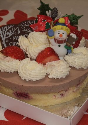 2種類ペーリーのクリスマスケーキ-レシピのメイン写真