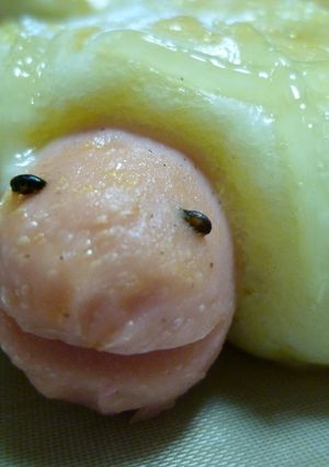カメさんパン-レシピのメイン写真