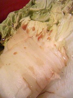 簡単:白菜の白だしポン酢和え-レシピのメイン写真