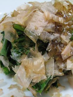 ほうれん草のおひたし-レシピのメイン写真