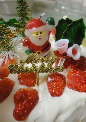 クリスマスケーキ2010★覚書-レシピのメイン写真