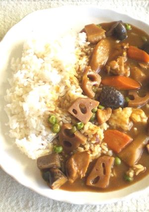 お煮しめ☆和風カレー-レシピのメイン写真