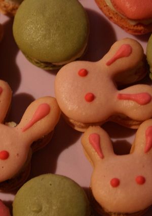 絶対失敗しない♥! うさぎマカロン-レシピのメイン写真