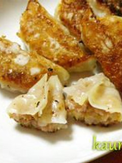 簡単!白菜のシンプルジューシー餃子-レシピのメイン写真
