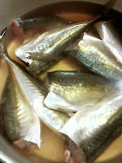自家製★鯵の干物-レシピのメイン写真