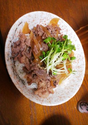 あの店の味！？牛丼-レシピのメイン写真