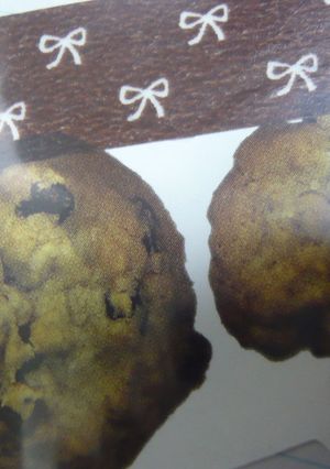 赤毛のアンの世界❀チョコチップクッキー-レシピのメイン写真