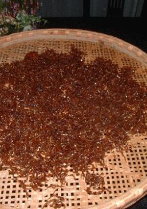春を告げる～♪いかなごのくぎ煮-レシピのメイン写真