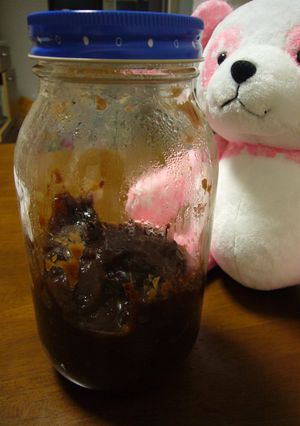 圧力鍋でりんごのチャツネ-レシピのメイン写真
