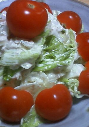 ガッツリ食べれる！レタスとツナのサラダ-レシピのメイン写真
