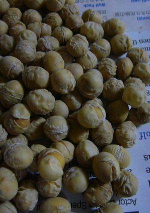 ヘルシーおやつ　煎り大豆の白衣（塩大豆）-レシピのメイン写真