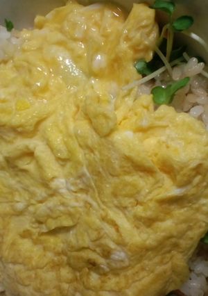 ランチに鮭のオムライス-レシピのメイン写真